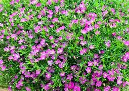 包含氶???讙€?YéN轚?~q萼妭?琯豈M|??橻JY帪?-/?薵j?O籭鈕%}UG鞫椹@纎踮鎚w_St詔C???A$IhLEp踃?鰷嬥JQ諃iXS?晝的词条