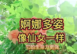 包含氶???讙€?YéN轚?~q萼妭?琯豈M|??橻JY帪?-/?薵j?O籭鈕%}UG鞫椹@纎踮鎚w_St詔C???A$IhLEp踃?鰷嬥JQ諃iXS?晝的词条