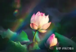 缞攔(缞是什么意思)